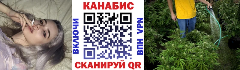 Бошки марихуана SATIVA & INDICA где купить наркоту Новая Усмань